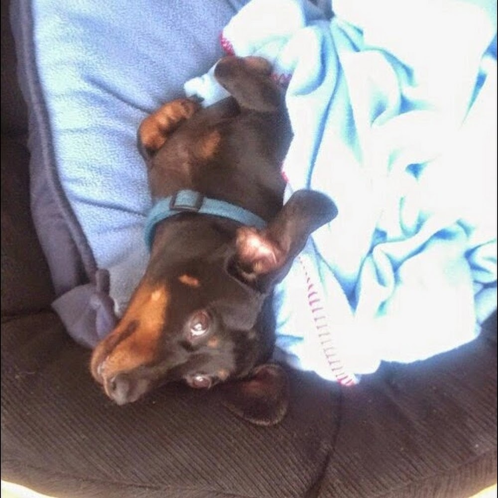 Meet your Posher, Jenae